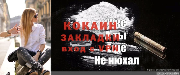 шишки Абинск