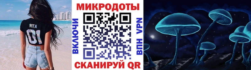 Галлюциногенные грибы Psilocybe  кракен зеркало  Гаджиево 